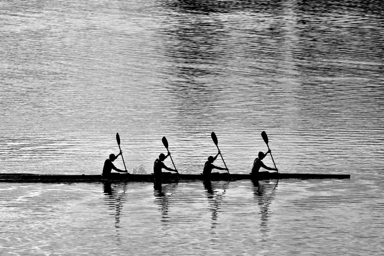 Four paddlers rowing in unison in a single kayak